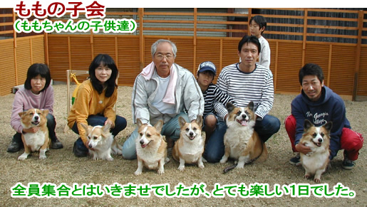 ももの子会